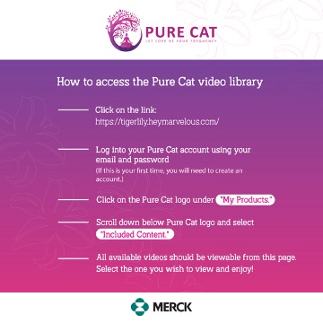 2222629_PURE Cat instructions VideoLibrary_1080x1080_030524